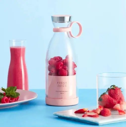 Mini Juicer Blender